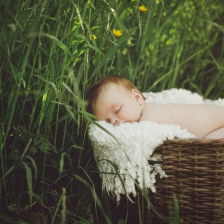 Baby sleeping in basket outside in spring or summer grasses